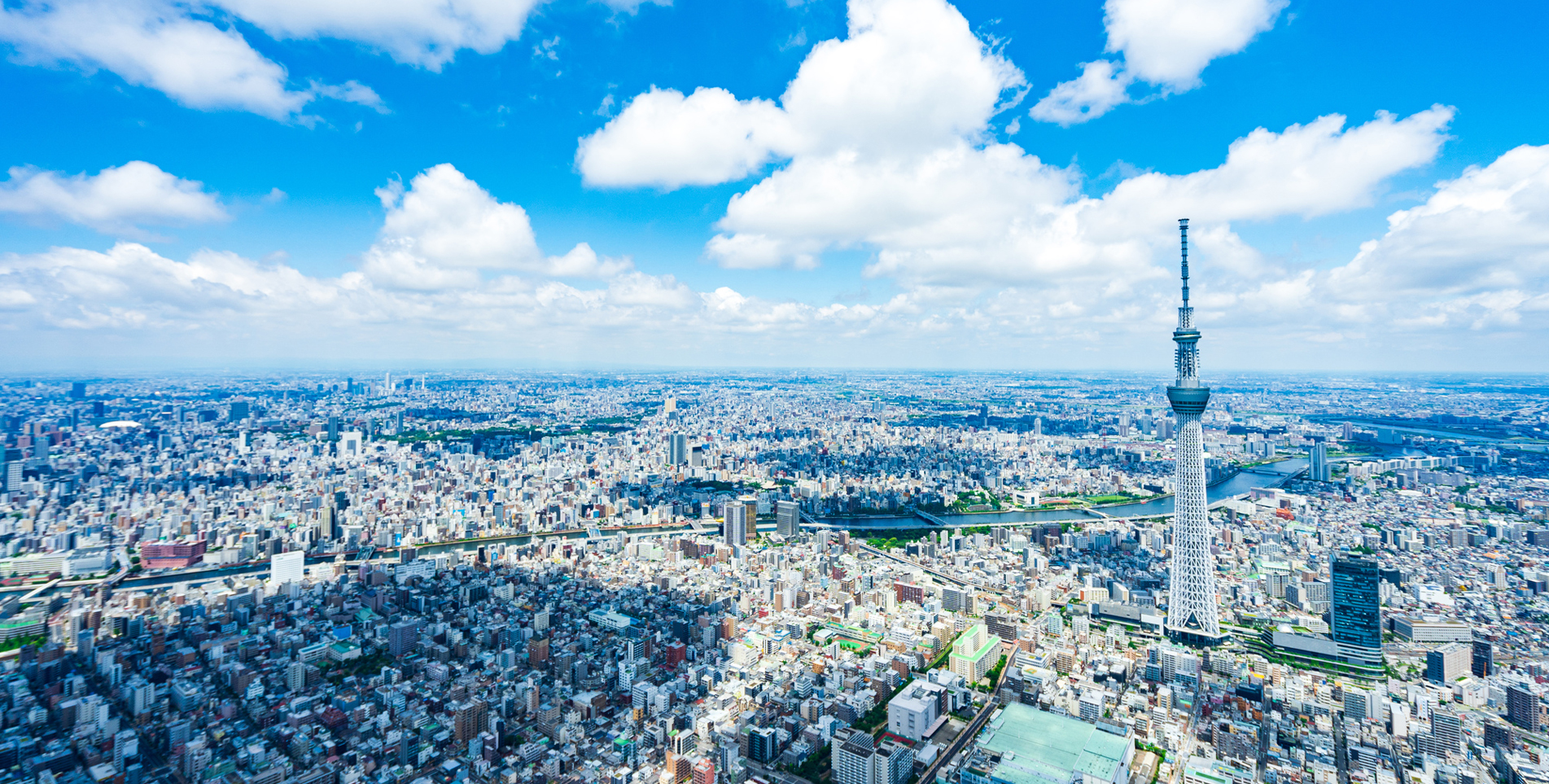 上空から撮影したビル群